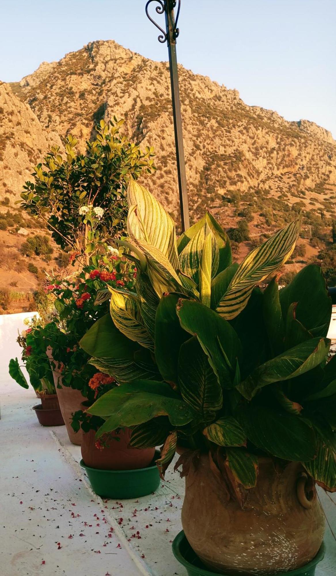 Dar Sbaa Bed & Breakfast Chefchaouen Eksteriør bilde
