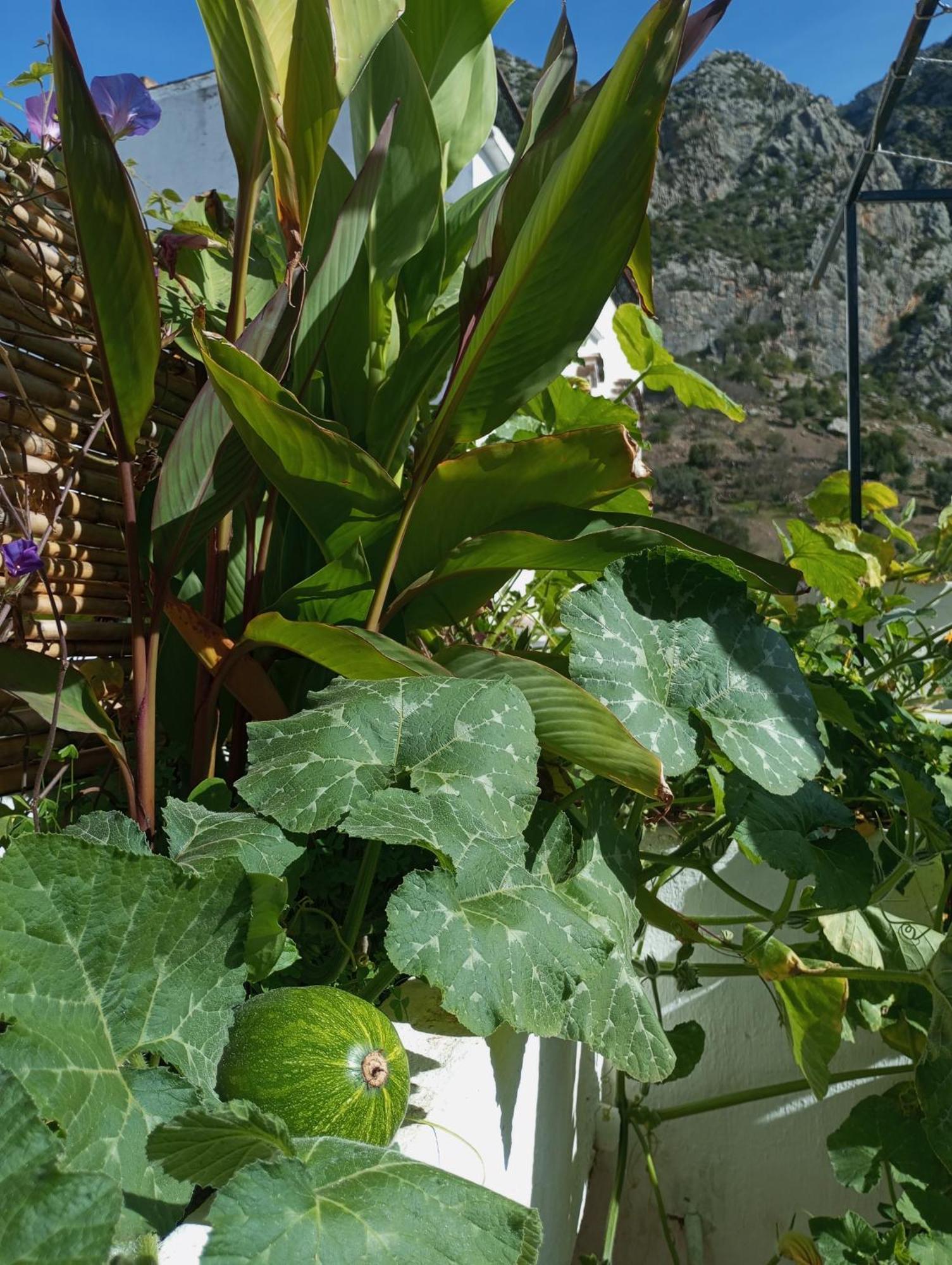 Dar Sbaa Bed & Breakfast Chefchaouen Eksteriør bilde