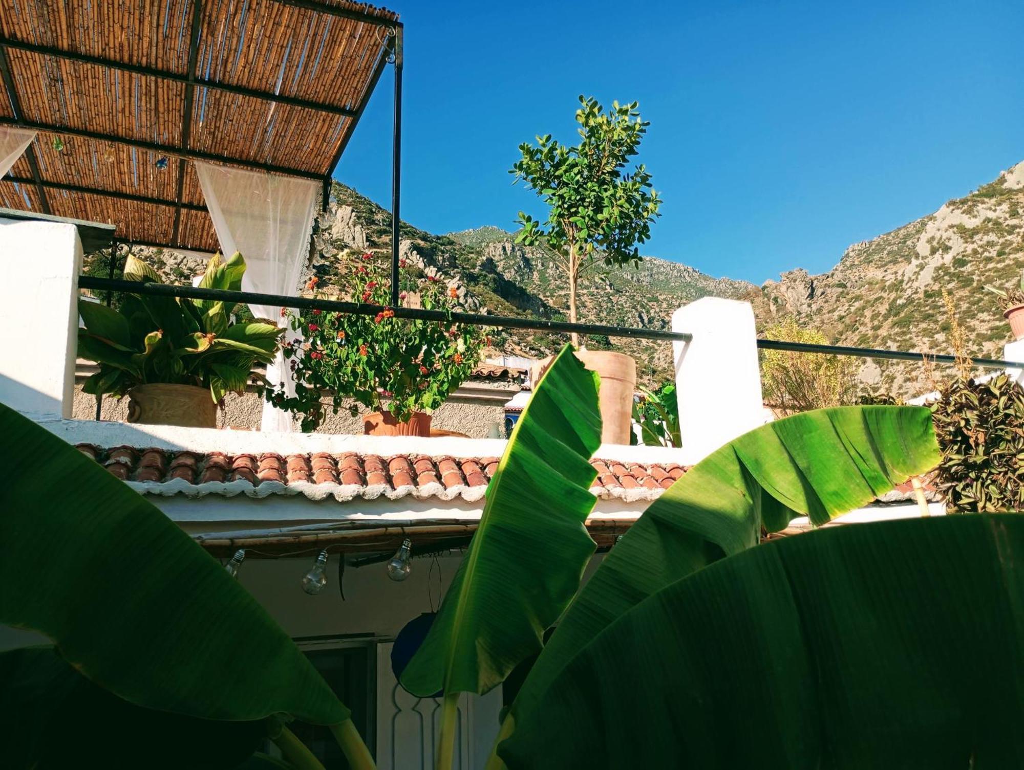 Dar Sbaa Bed & Breakfast Chefchaouen Eksteriør bilde